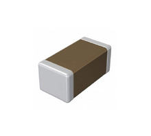 RF18N100F251CT kép