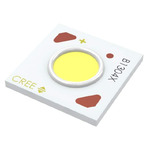 CXB1304-0000-00PN0U0A40G